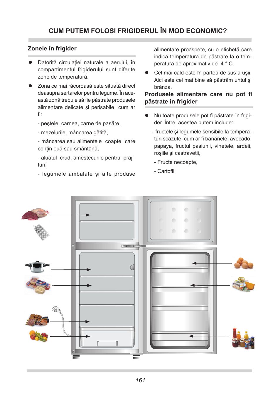 Cum putem folosi frigiderul în mod economic | AMICA EKGC 16166 DE User Manual | Page 161 / 172