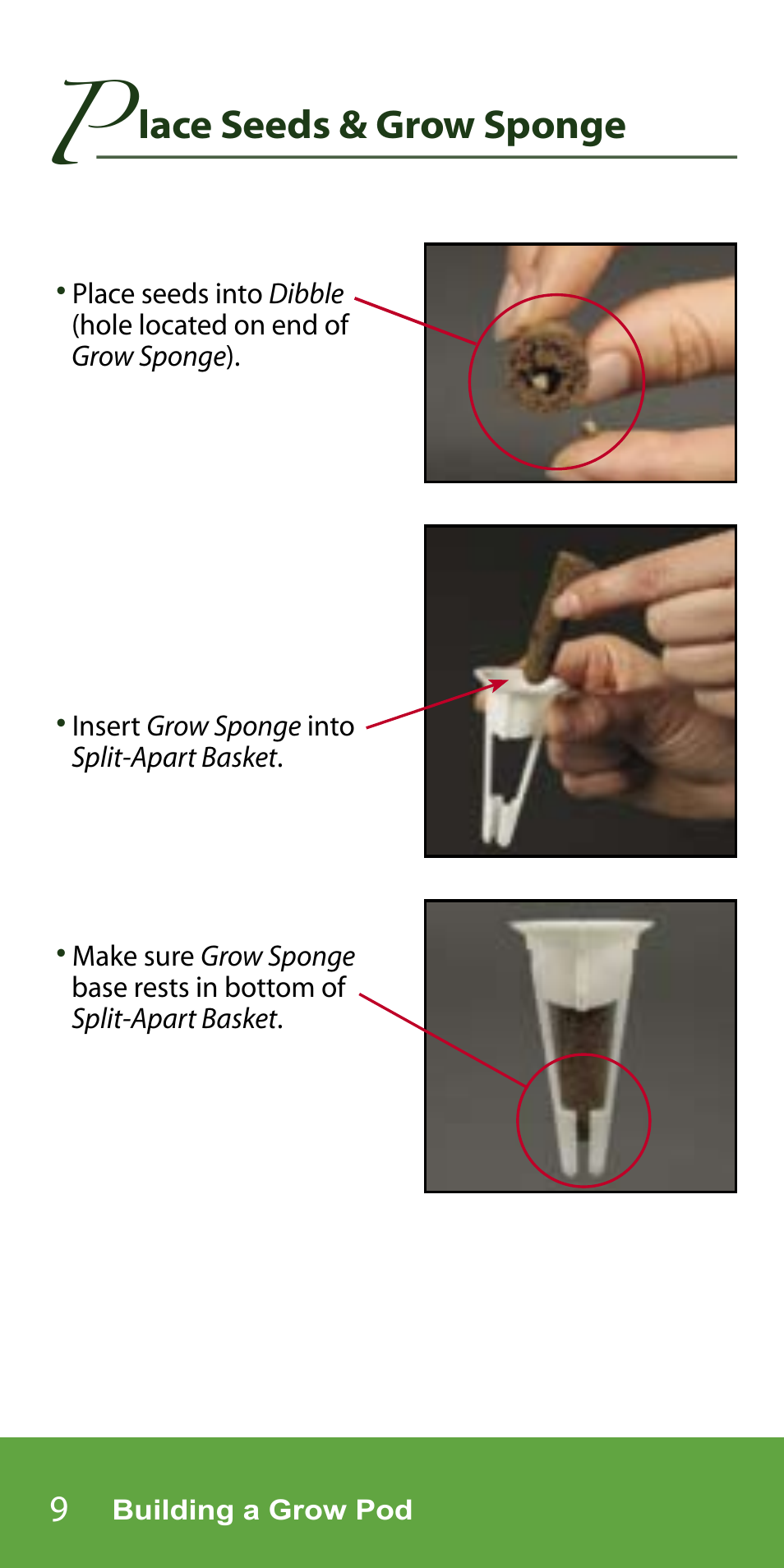 Lace seeds & grow sponge | AeroGarden 7-Pod User Manual | Page 10 / 32