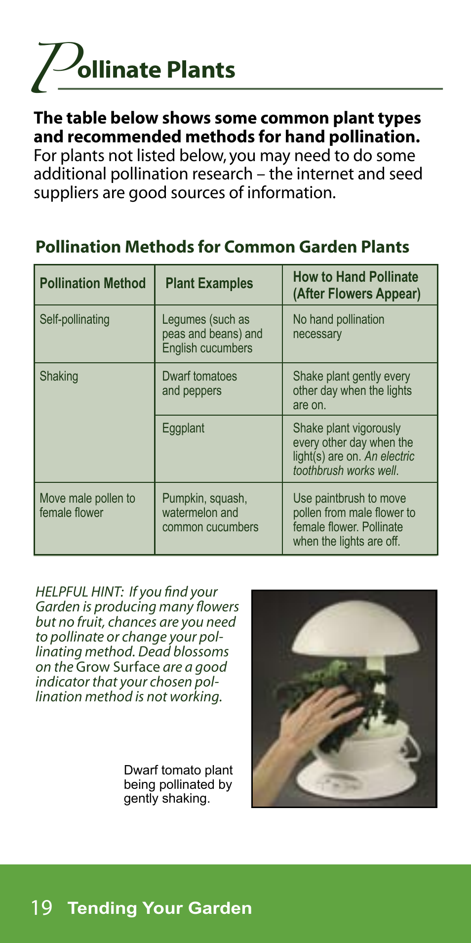 Ollinate plants, Pollination methods for common garden plants | AeroGarden 7-Pod User Manual | Page 20 / 32