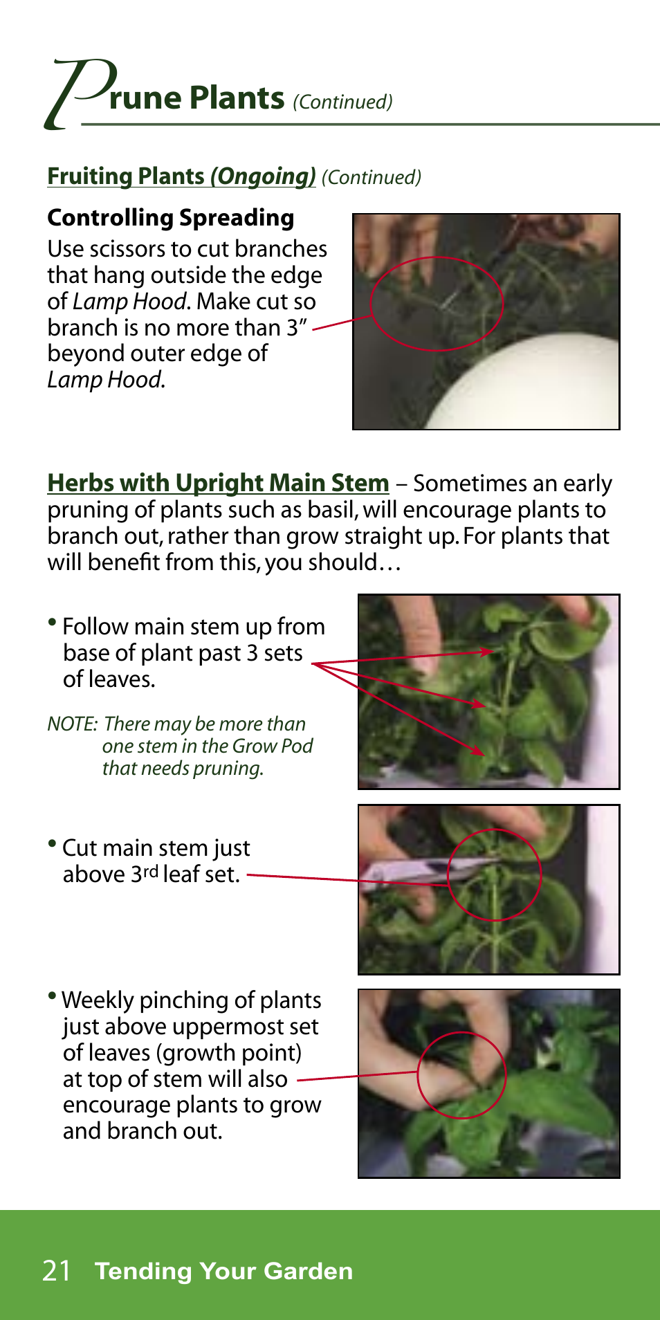 Rune plants | AeroGarden 7-Pod User Manual | Page 22 / 32