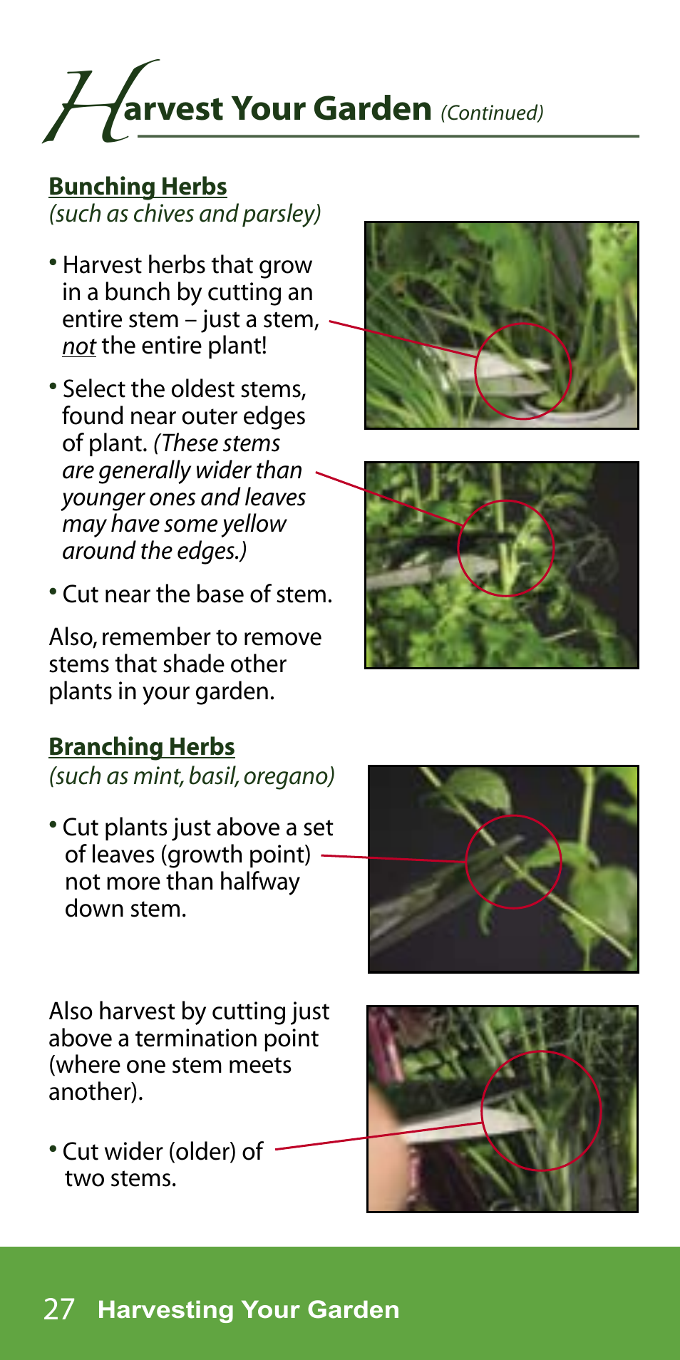 Arvest your garden | AeroGarden 7-Pod User Manual | Page 28 / 32