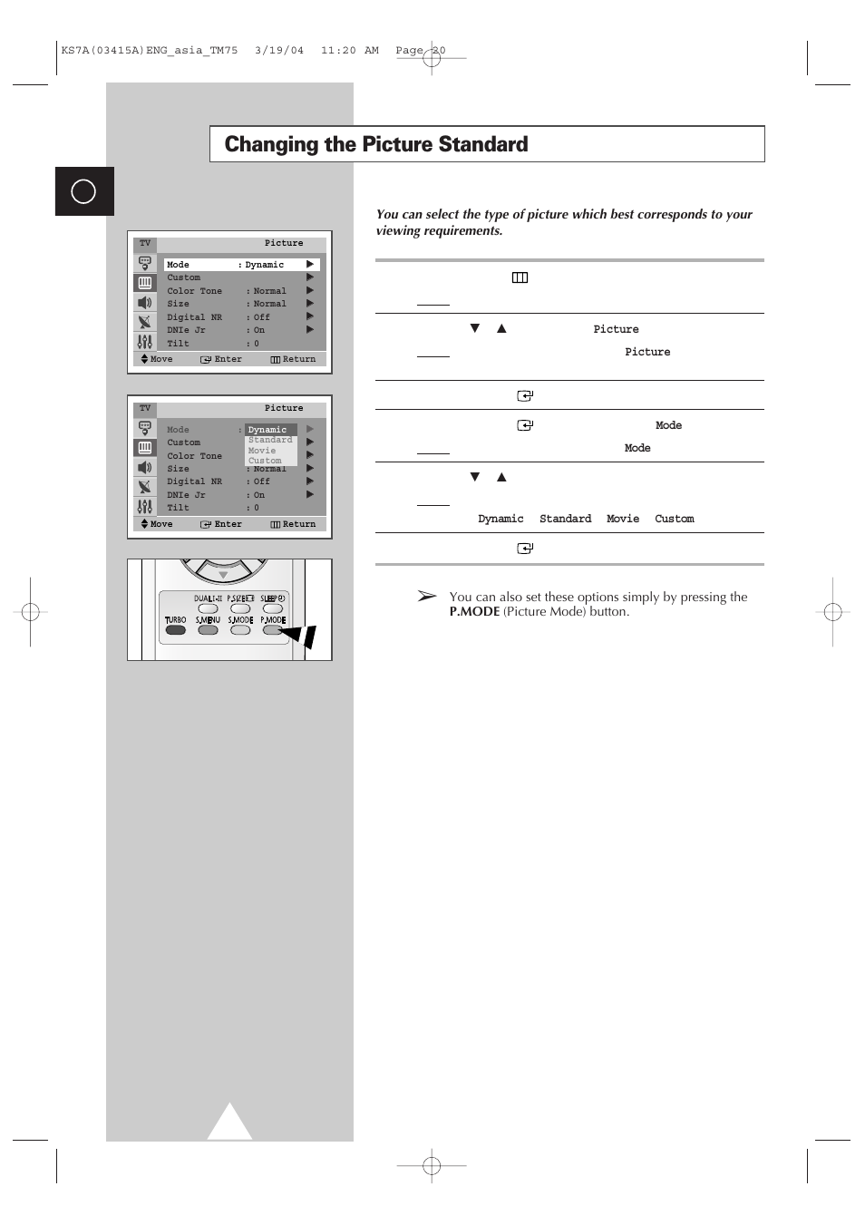 Using your television, Changing the picture standard | Samsung TXR2735X-XAA User Manual | Page 19 / 47