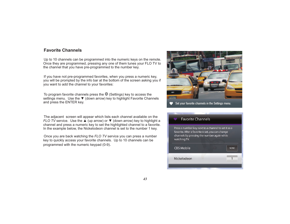 Audiovox Mobile Video VOD108FR User Manual | Page 47 / 56