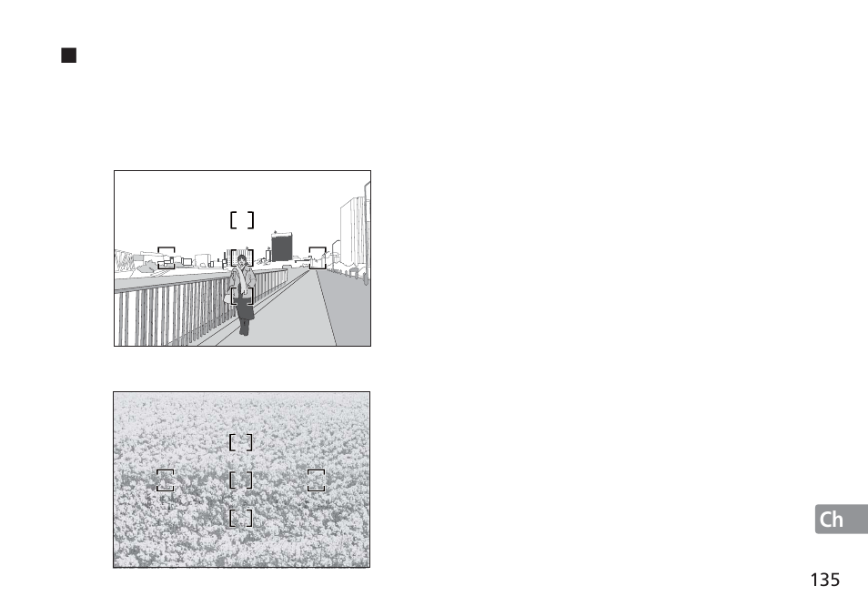 Nikon 16-35mm-f-4G-AF-S-VR-Zoom-Nikkor User Manual | Page 135 / 152