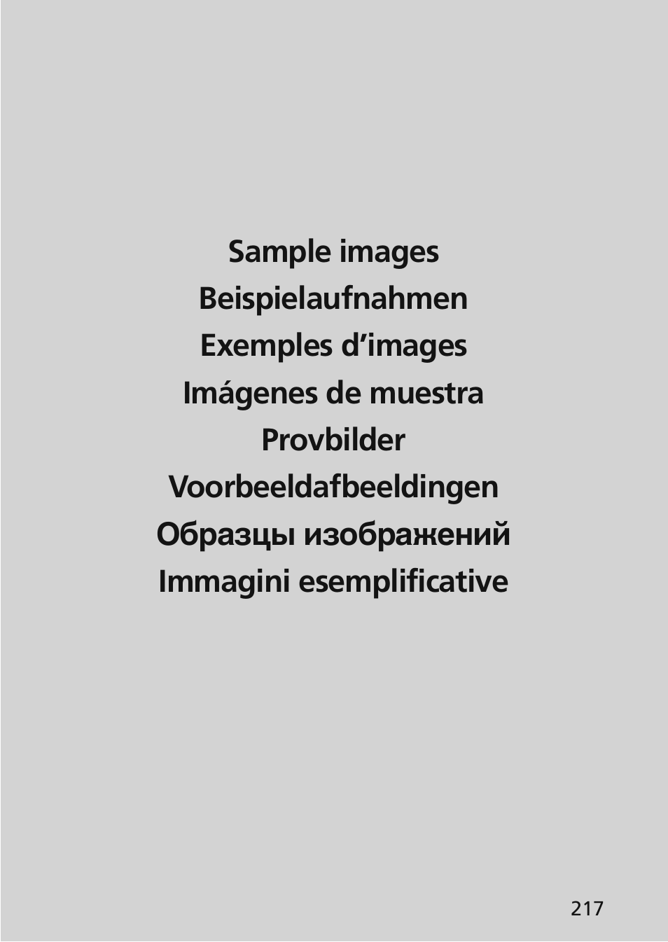 Nikon 45mm-f-28D-ED-PC-E-Nikkor User Manual | Page 217 / 252