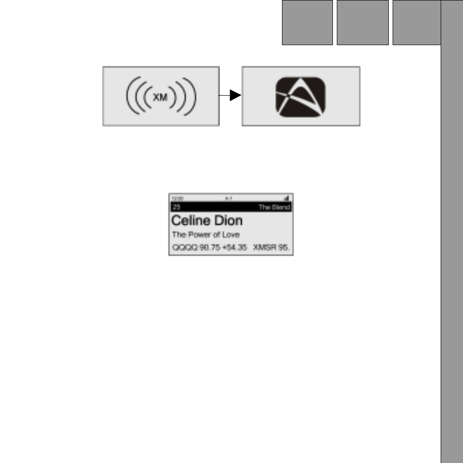 Menu options | Audiovox Satellite Radio Receiver User Manual | Page 17 / 64