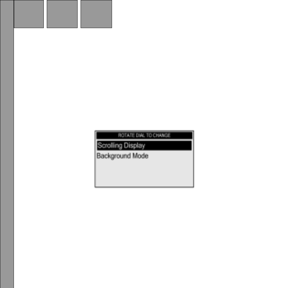 Display screen mode | Audiovox Satellite Radio Receiver User Manual | Page 38 / 64