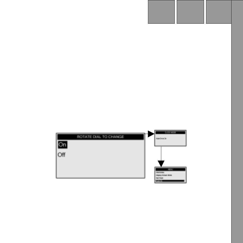 Auto-on | Audiovox Satellite Radio Receiver User Manual | Page 45 / 64