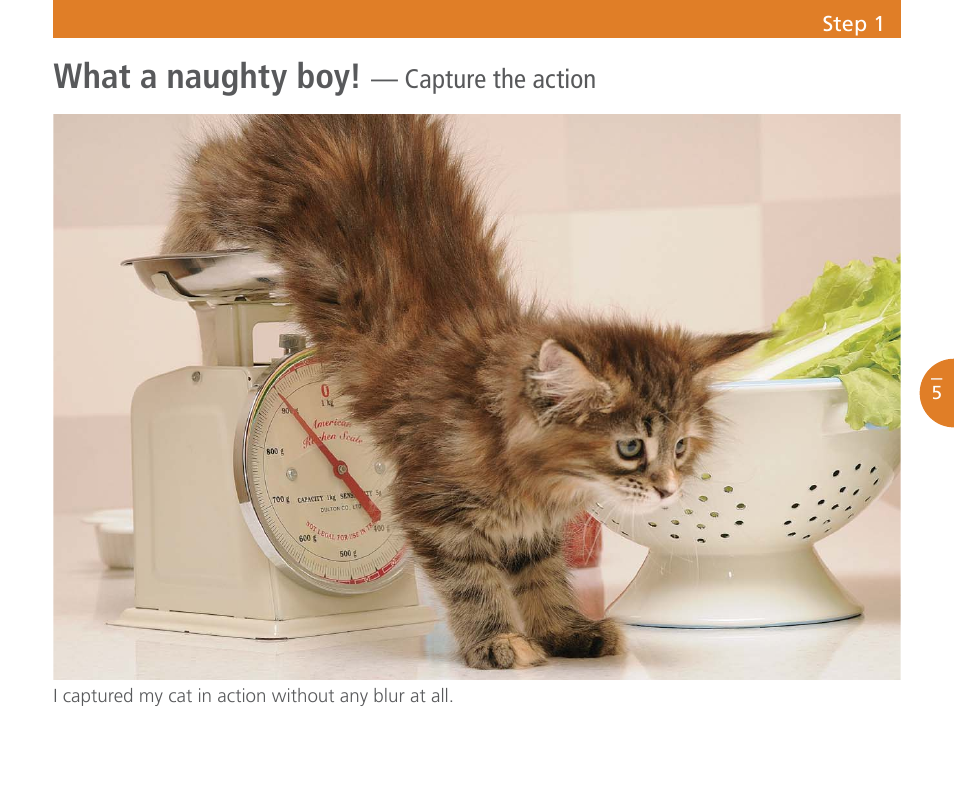 What a naughty boy | Nikon Speedlight SB-700 User Manual | Page 6 / 24