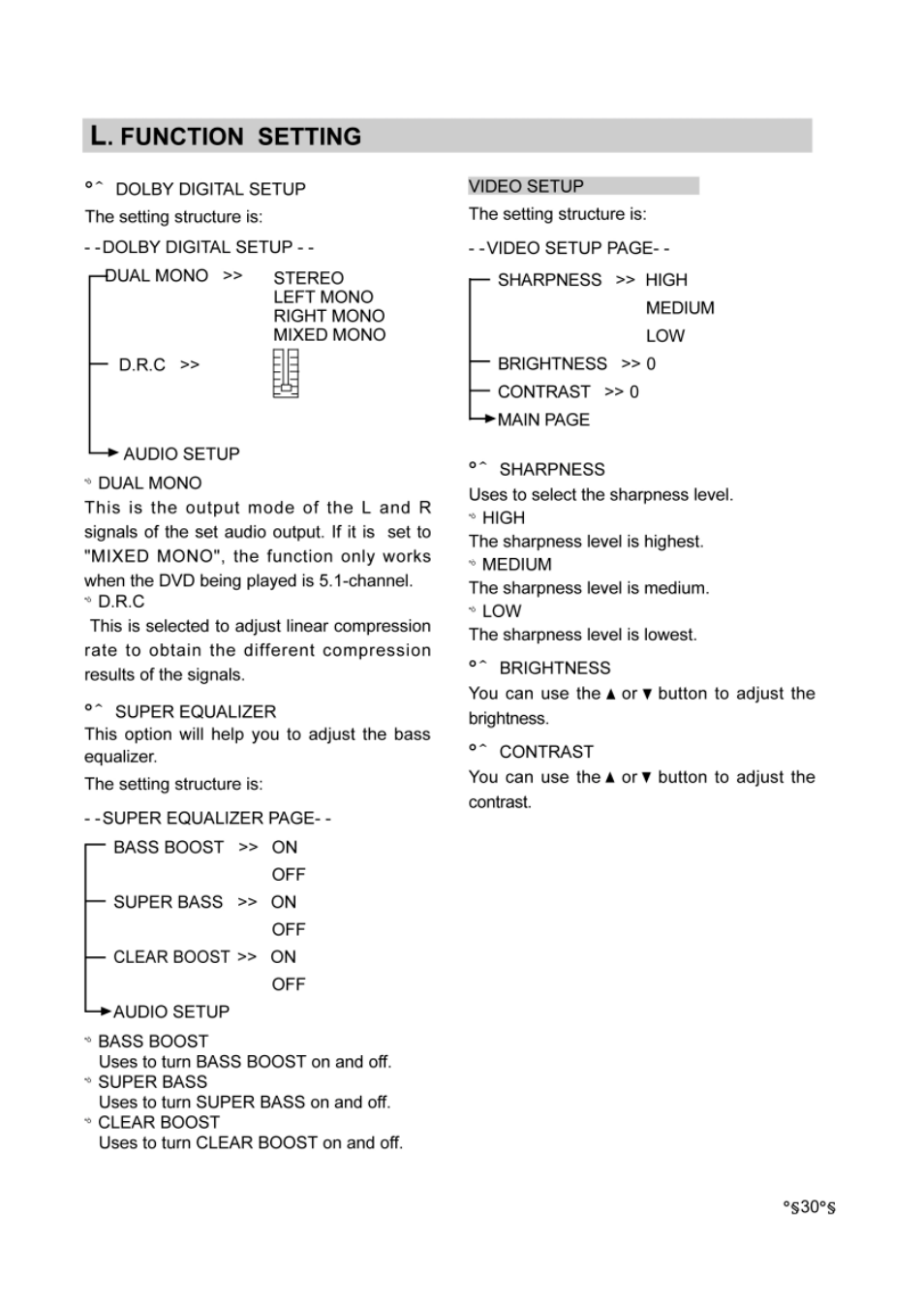 L function setting | Audiovox DVD-220 User Manual | Page 32 / 38