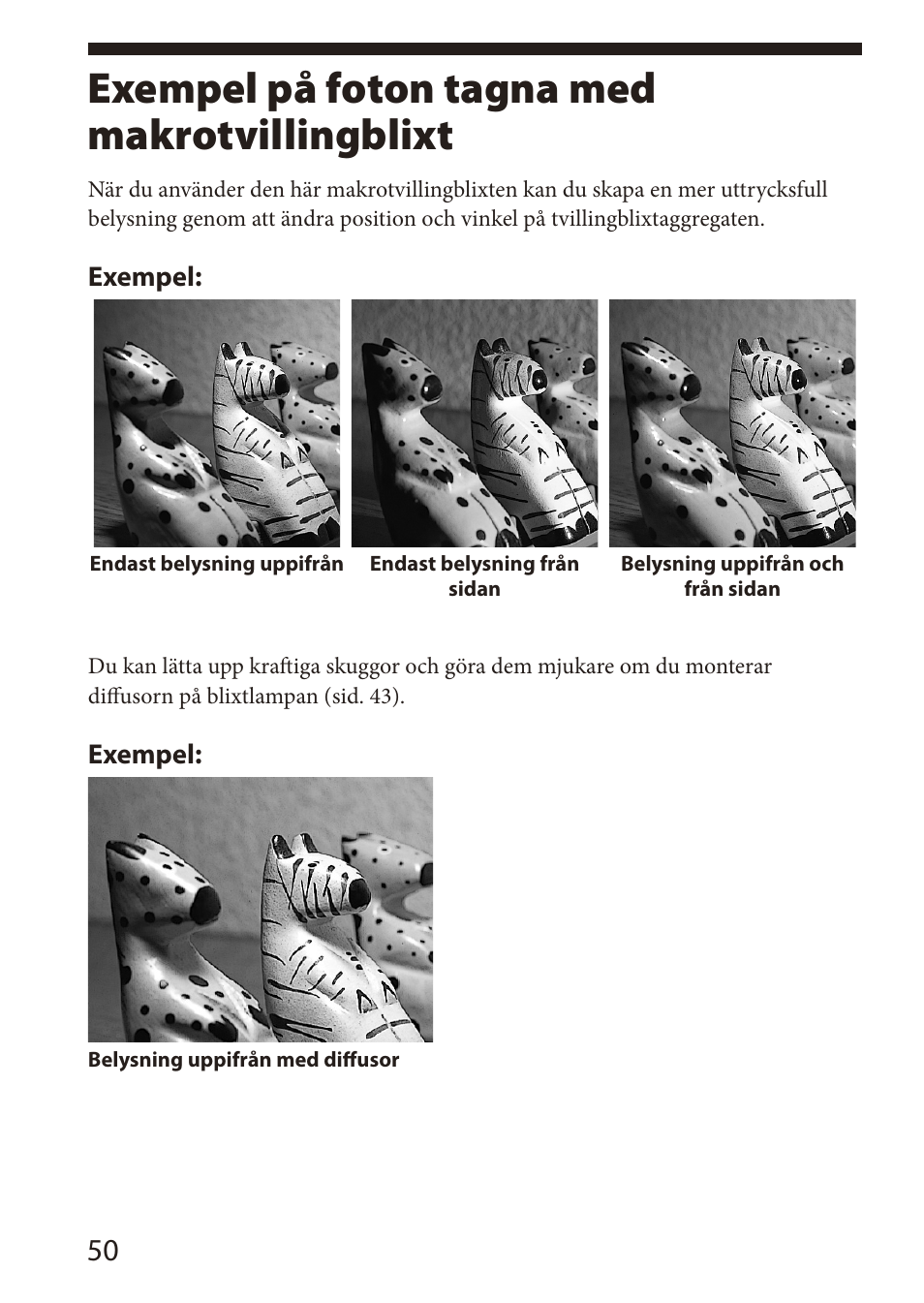 Exempel på foton tagna medmakrotvillingblixt, Exempel på foton tagna med, Makrotvillingblixt | Exempel på foton tagna med makrotvillingblixt | Sony HVL-MT24AM User Manual | Page 226 / 294