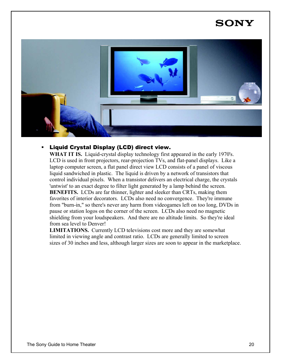 Sony Home Theater User Manual | Page 20 / 51