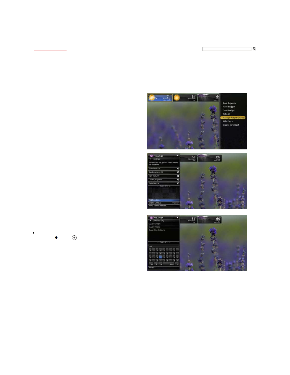 Bravia internet widgets | Sony KDL-40XBR9 User Manual | Page 129 / 346