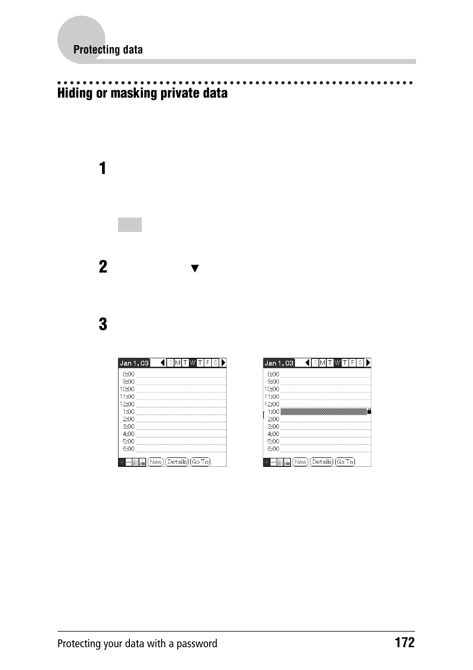 Hiding or masking private data | Sony PEG-NZ90 User Manual | Page 172 / 186