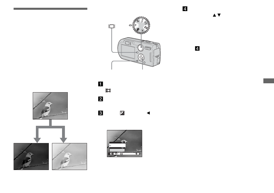 Adjusting the exposure, Ev adjustment | Sony DSC-P100LJ User Manual | Page 53 / 128