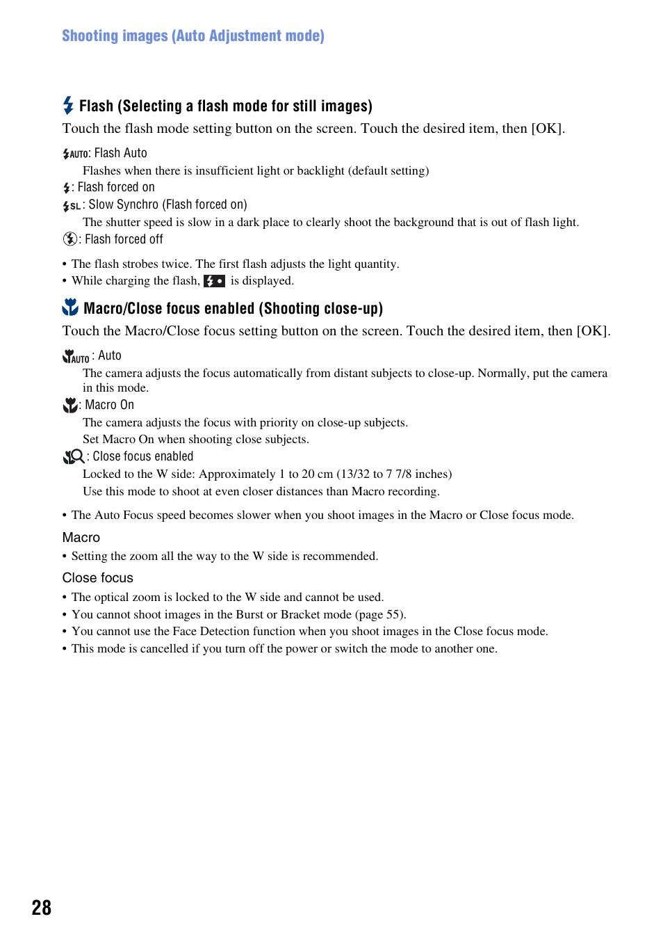 H (28) | Sony DSC-T300 User Manual | Page 28 / 147