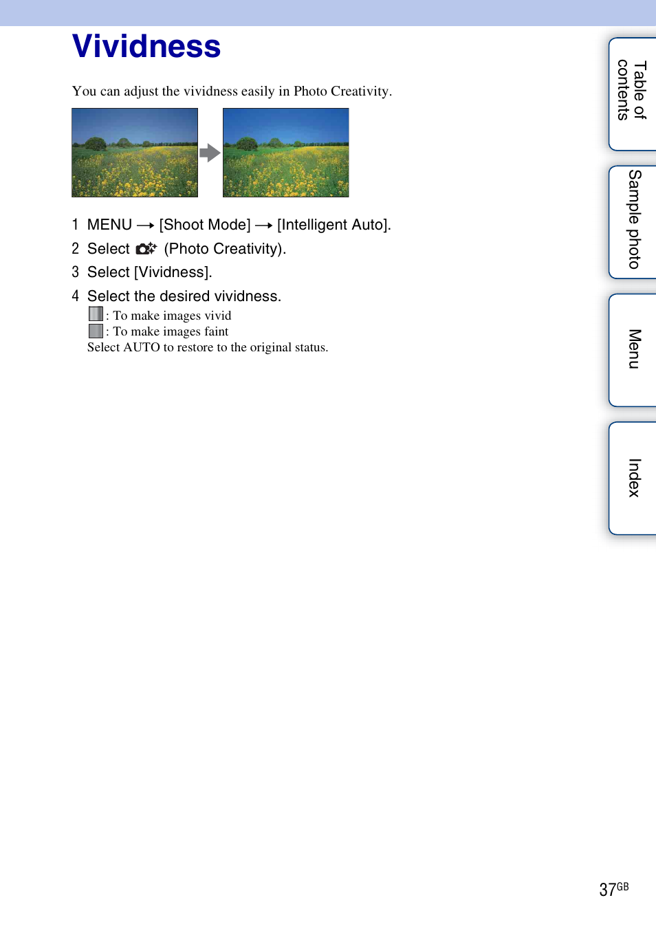 Vividness | Sony NEX-5NK User Manual | Page 37 / 200