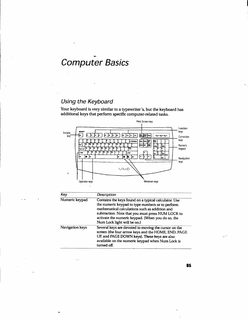 Computer basics, Using the keyboard | Sony PCV-E205 User Manual | Page 93 / 119