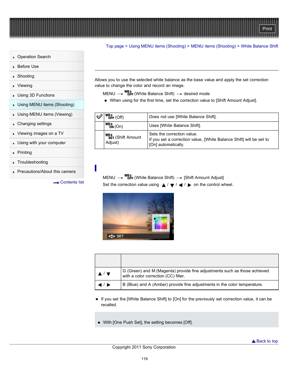 White balance shift | Sony DSC-WX10 User Manual | Page 119 / 266