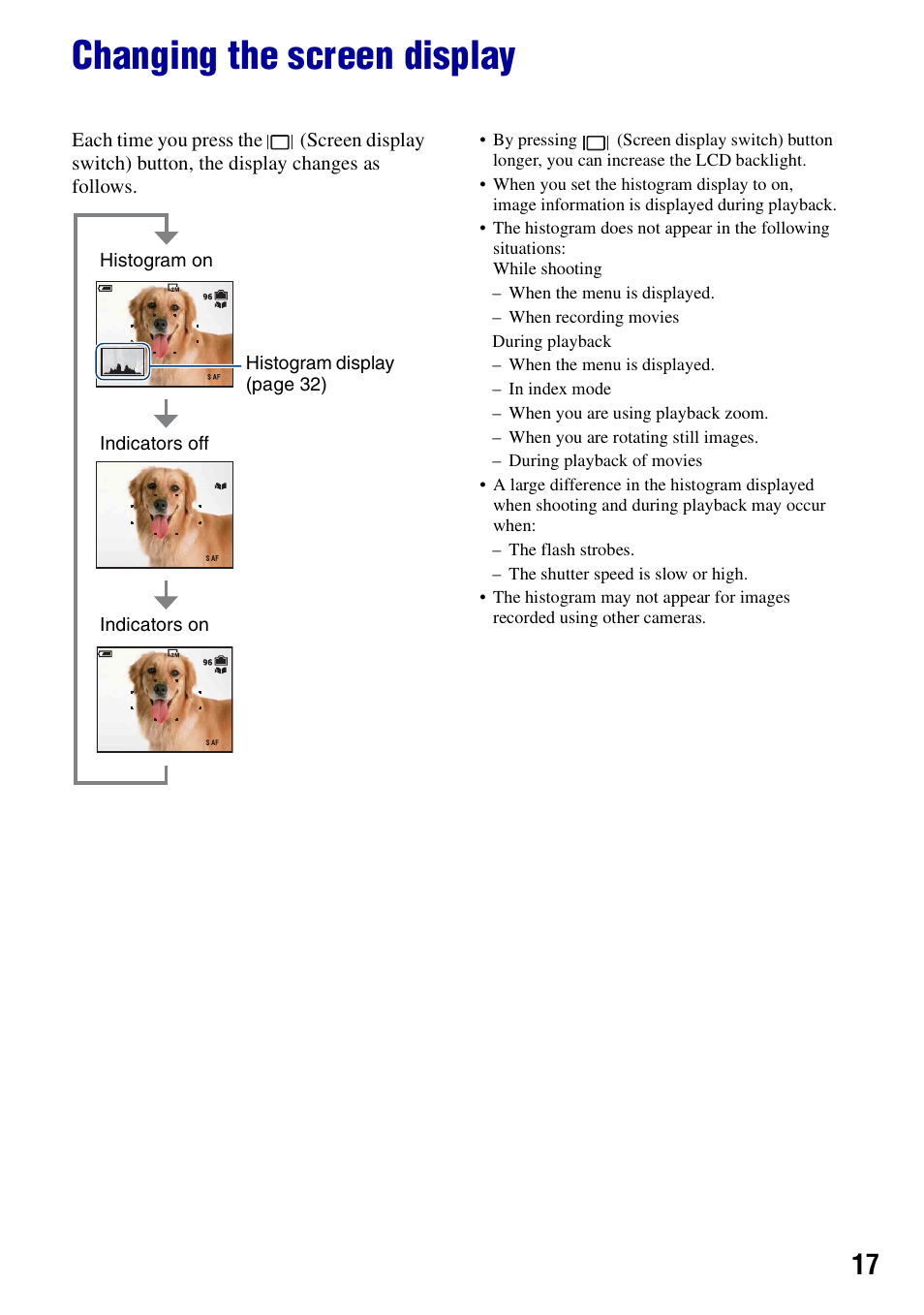 Changing the screen display | Sony DSC-N2 User Manual | Page 17 / 132