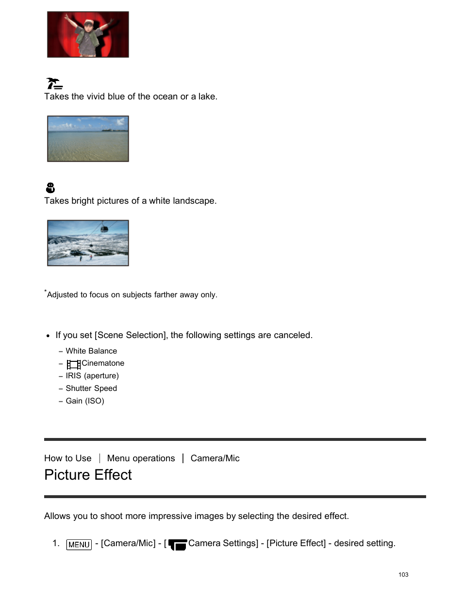 Picture effect, Descriptions of menu items | Sony FDR-AX100 User Manual | Page 115 / 204
