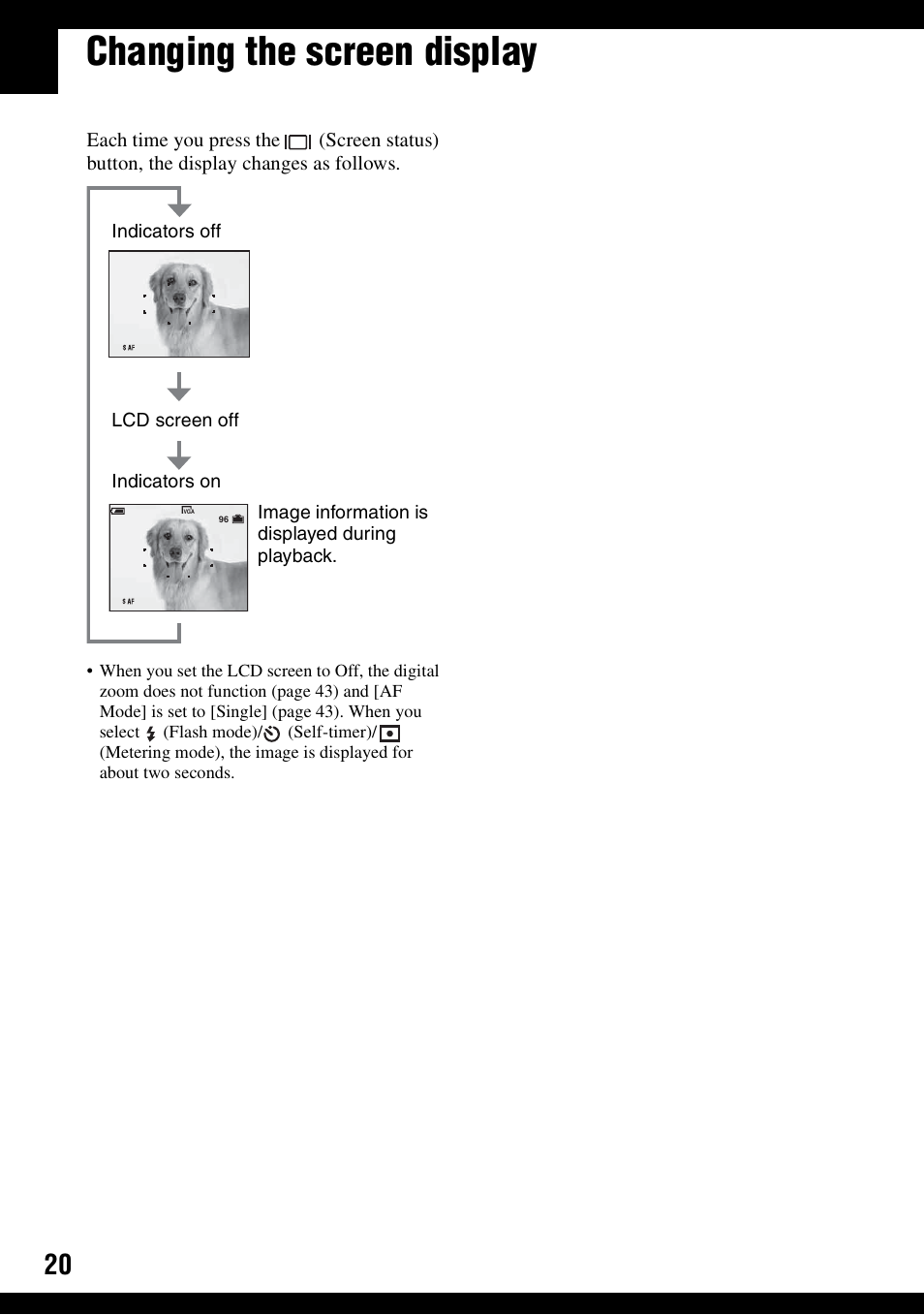 Changing the screen display | Sony DSC-S600 User Manual | Page 20 / 99