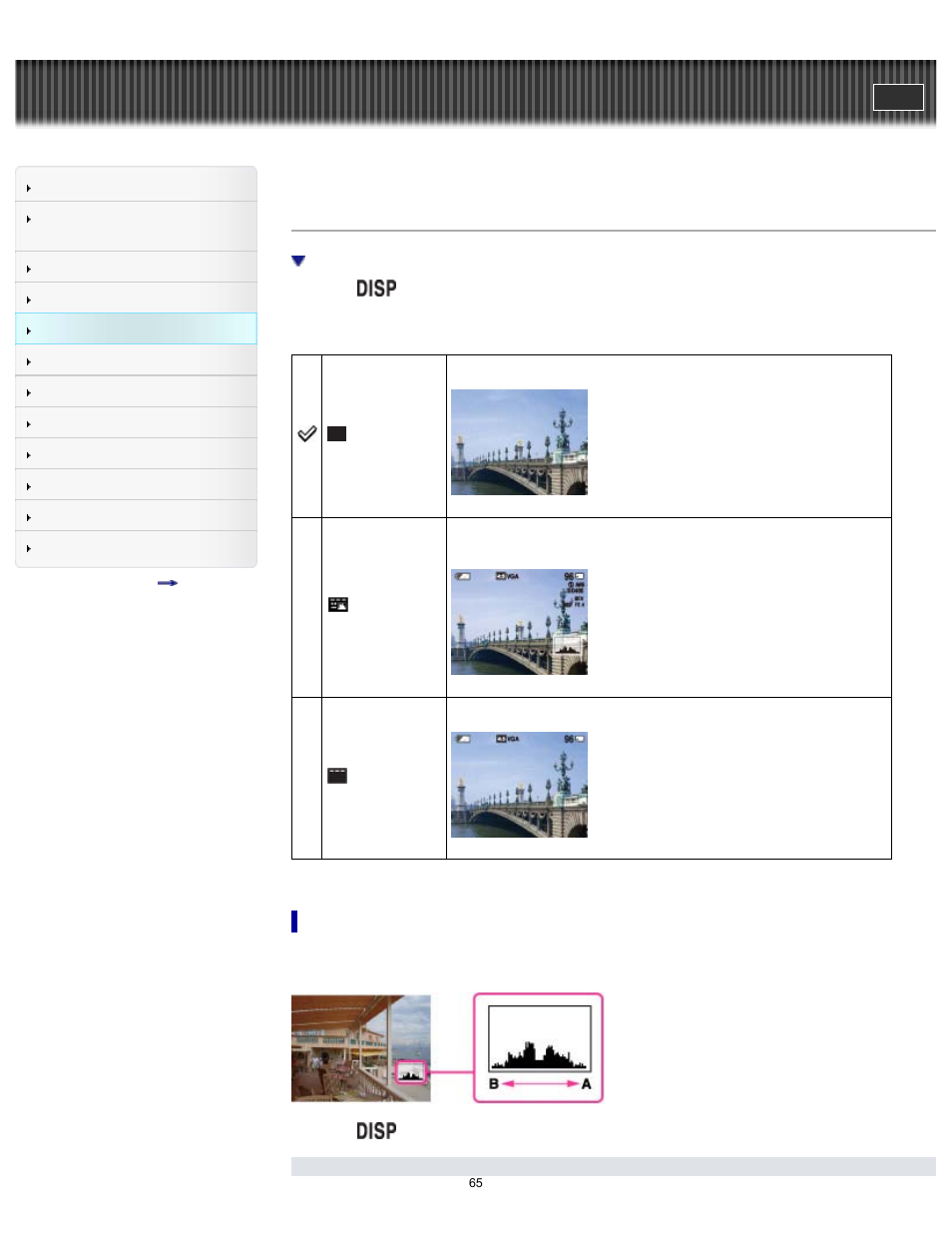 Disp (display setting), Cyber-shot user guide | Sony DSC-H200 User Manual | Page 65 / 179