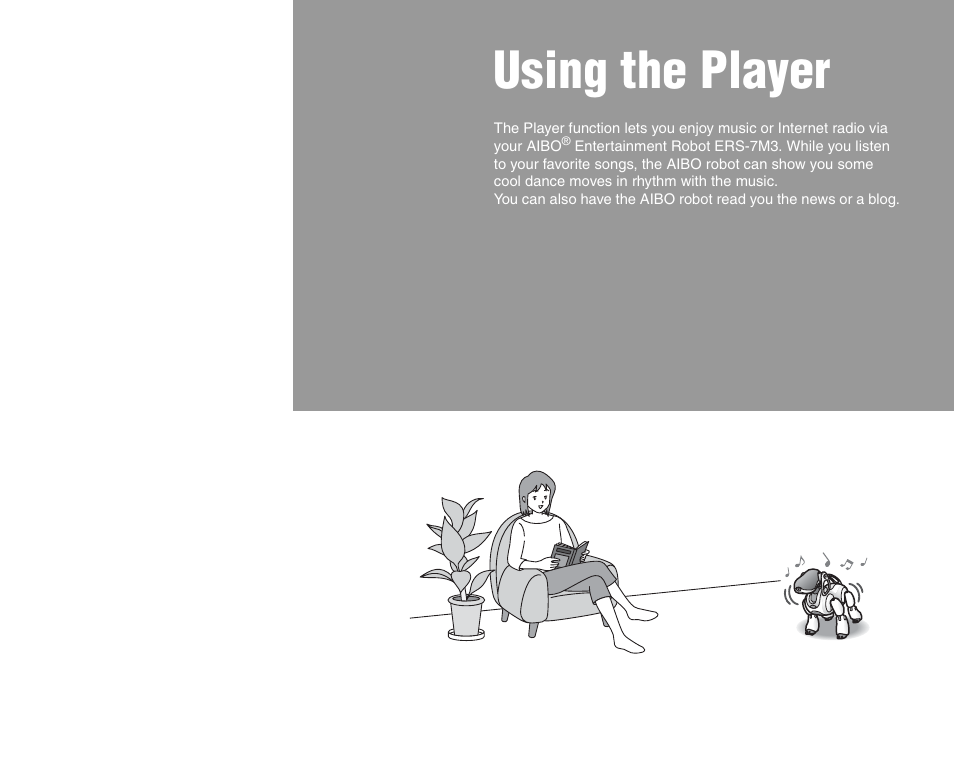 Using the player | Sony ERS-7M3 User Manual | Page 39 / 99