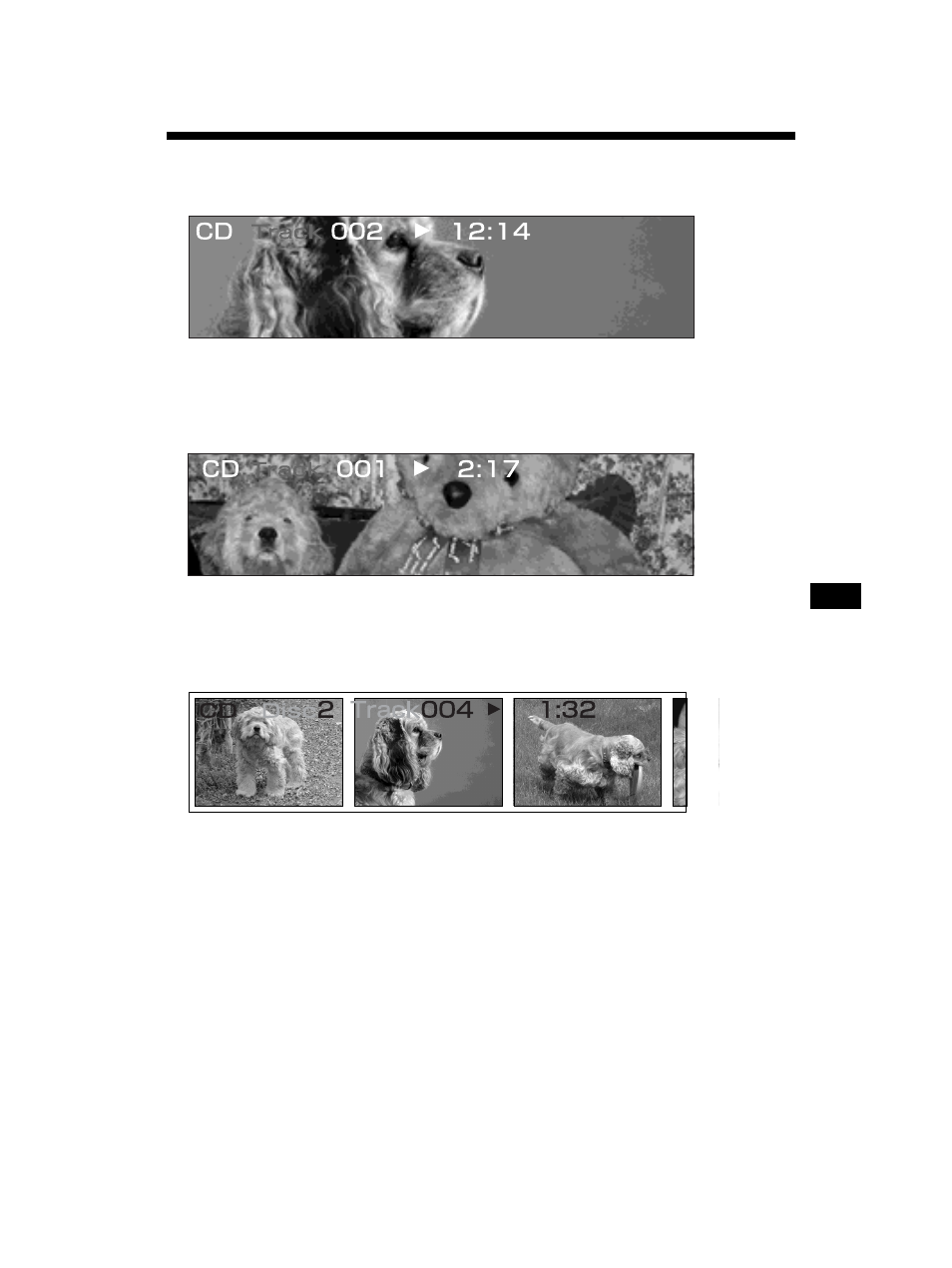 Sony MEX-5DI User Manual | Page 131 / 170