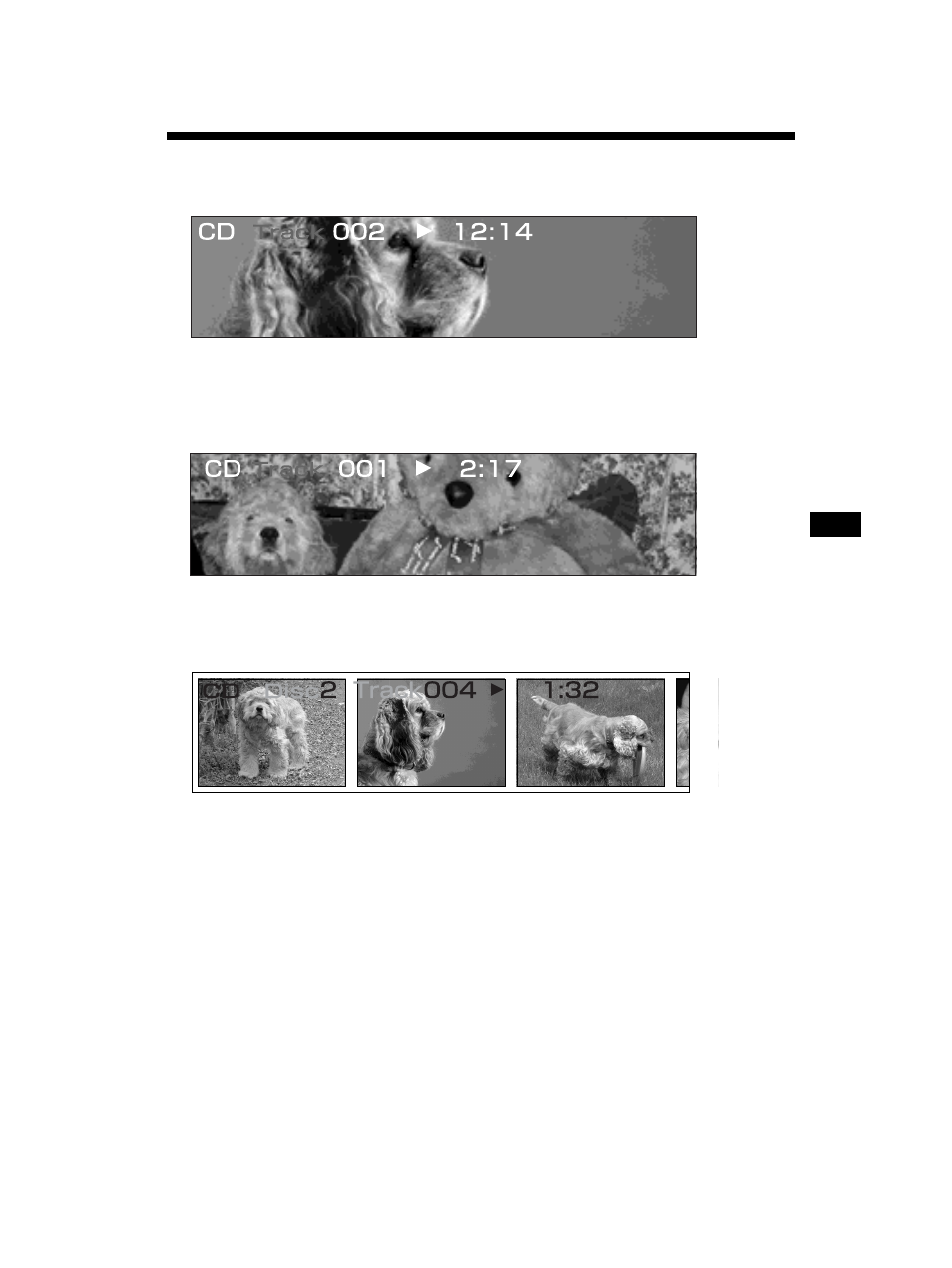 Sony MEX-5DI User Manual | Page 19 / 170