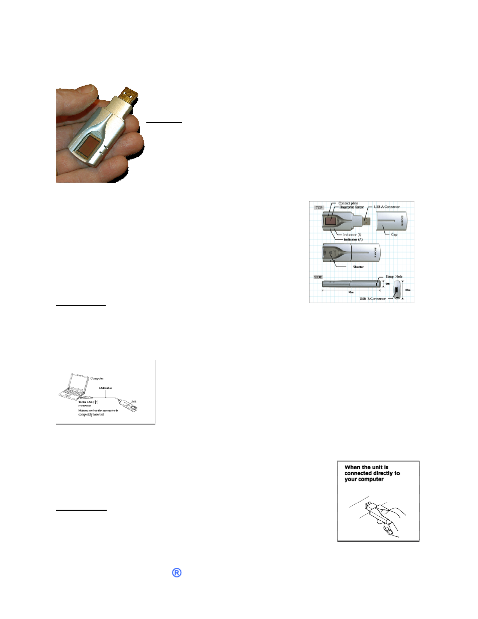 The unit, Connections, Fingerprints | Onnections, Ingerprints, Training your puppy ® unit page 6 | Sony FIU-810 User Manual | Page 6 / 43