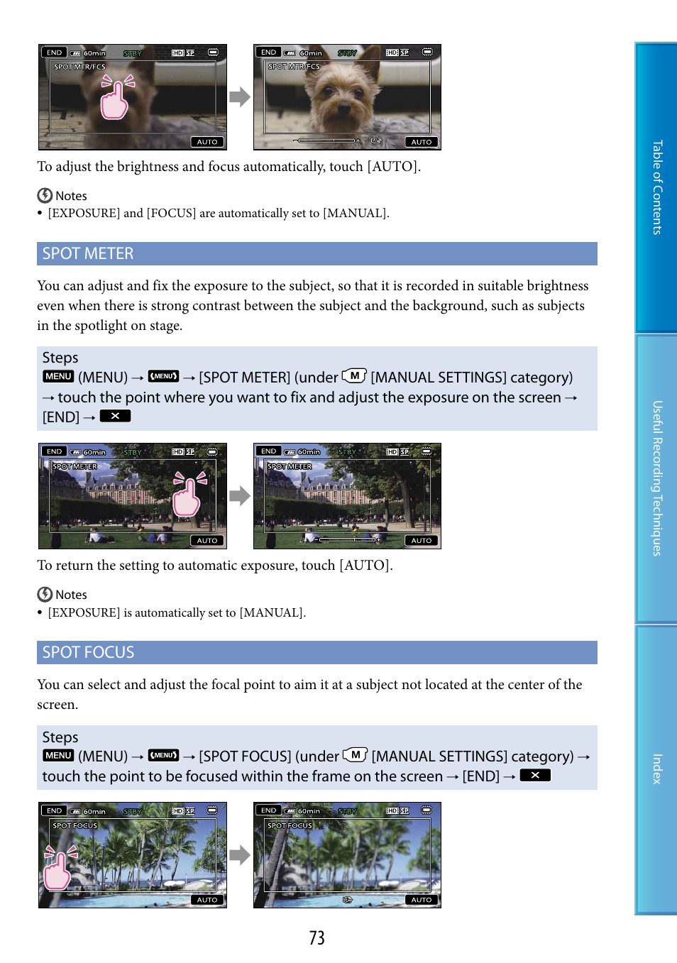 Ter (73), Spot meter, Spot focus | Sony HDR-CX500V User Manual | Page 73 / 130