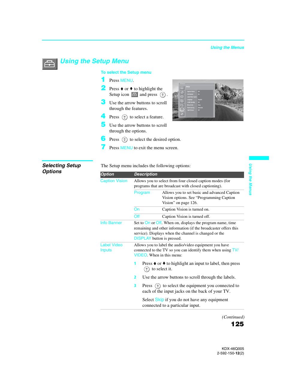 Using the setup menu, Selecting setup options | Sony KDX-46Q005 User Manual | Page 127 / 151