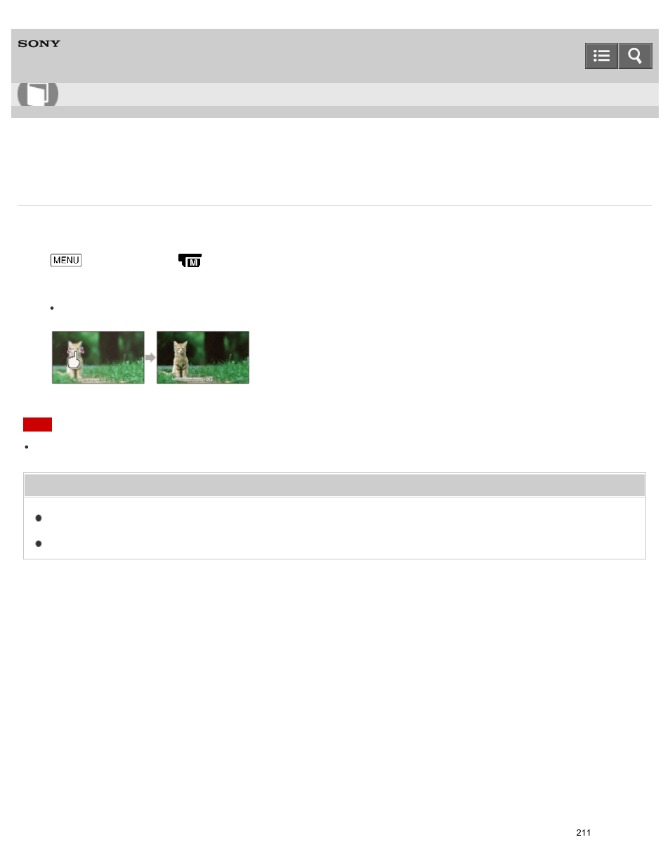 Spot meter/fcs, Help guide | Sony HDR-PJ810 User Manual | Page 211 / 416