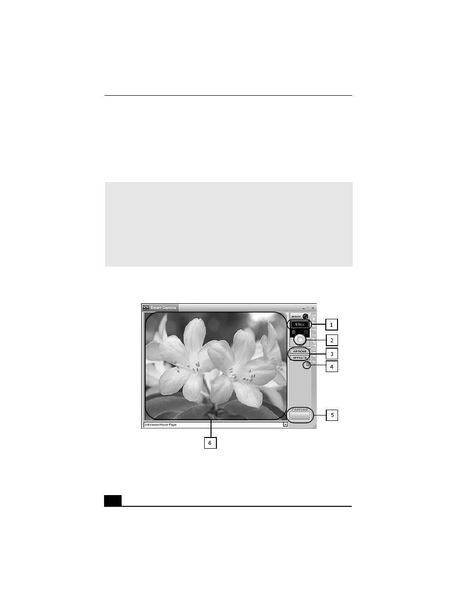 Smart capture | Sony PCV-RX650 User Manual | Page 40 / 94