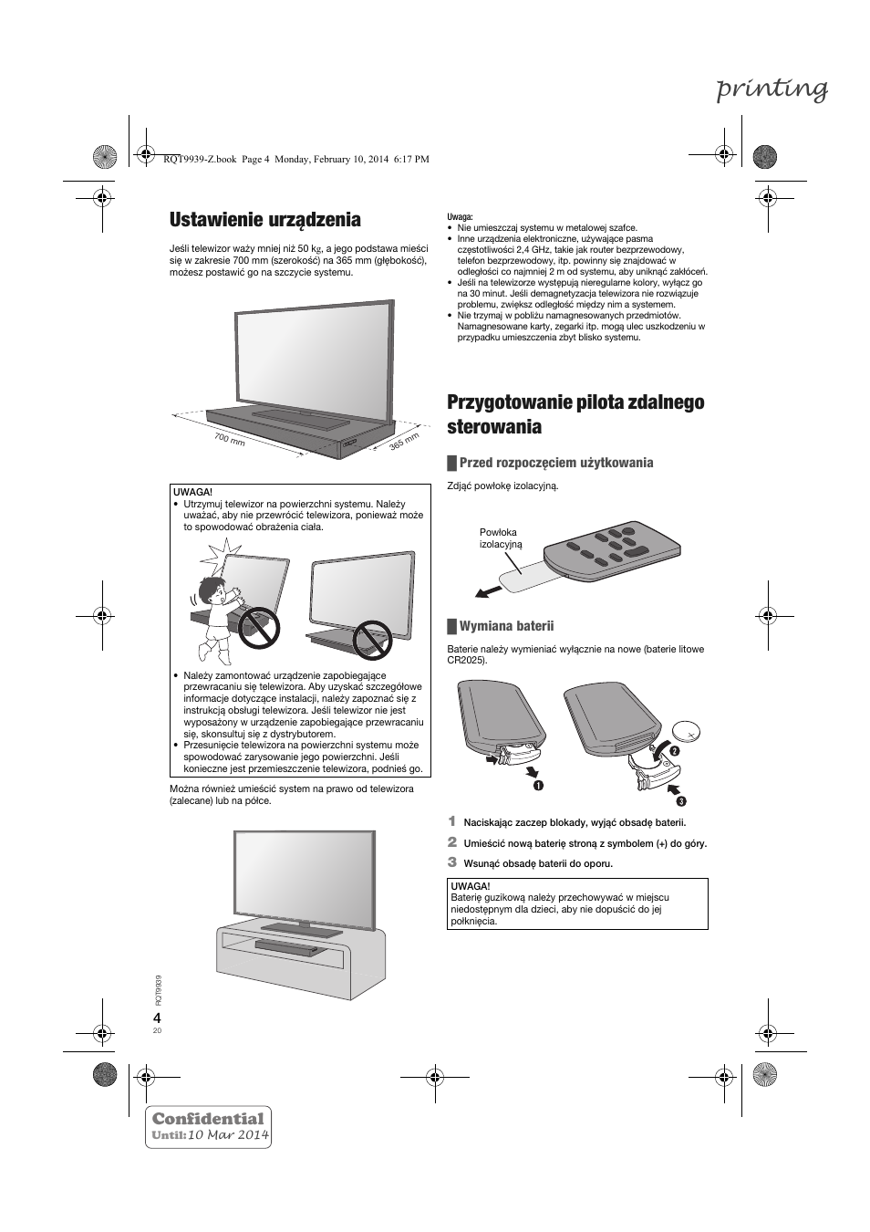 Printing, Ustawienie urządzenia, Przygotowanie pilota zdalnego sterowania | Confidential | Panasonic SCHTE180EG User Manual | Page 20 / 88
