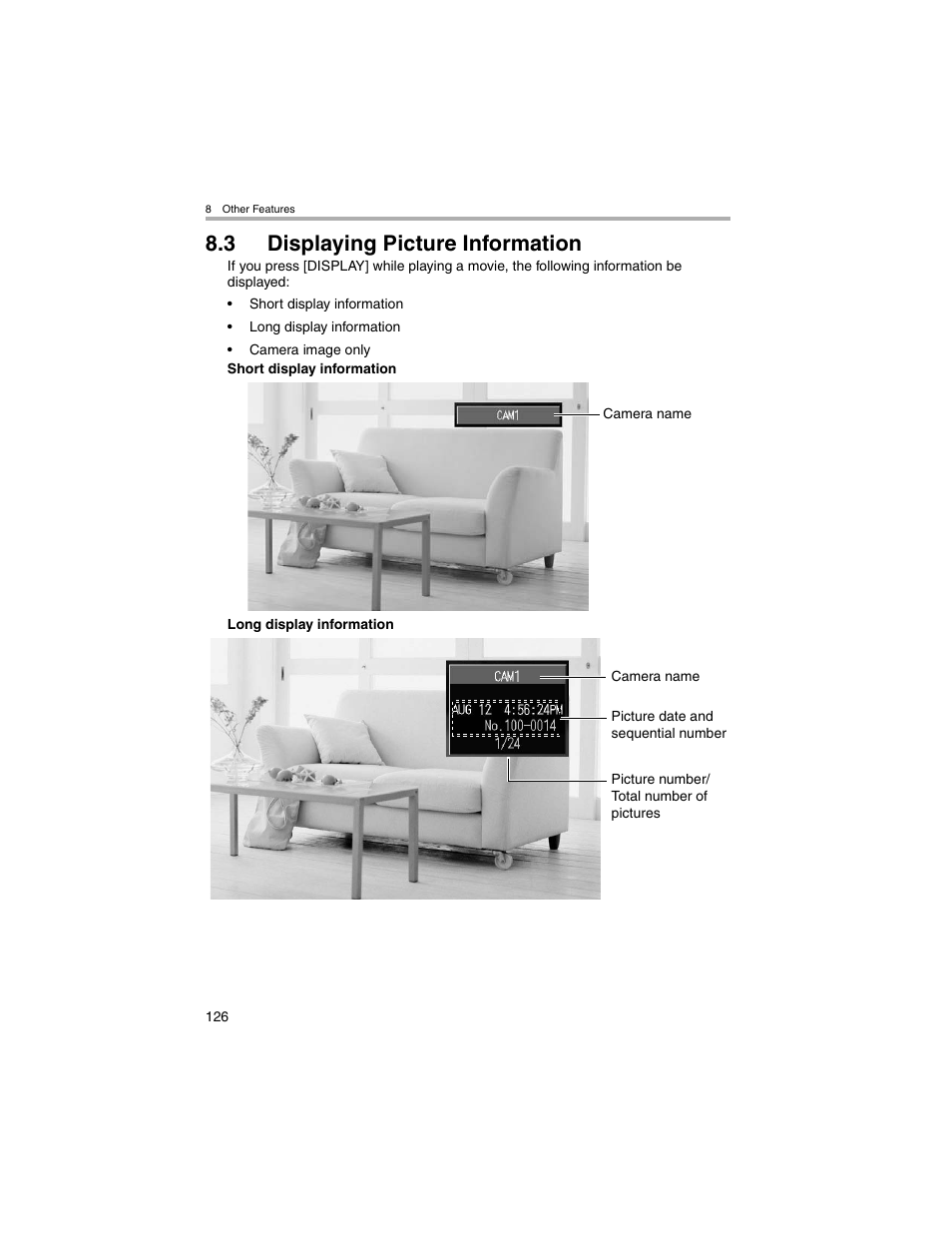 Displaying picture information, 3 displaying picture information | Panasonic BL-MS103A User Manual | Page 126 / 184