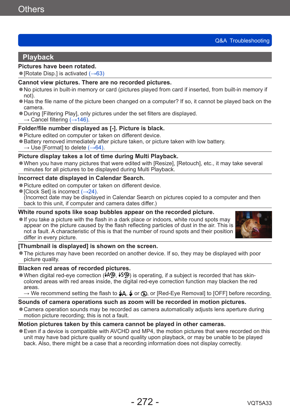 Others | Panasonic DMC-LF1W User Manual | Page 272 / 285