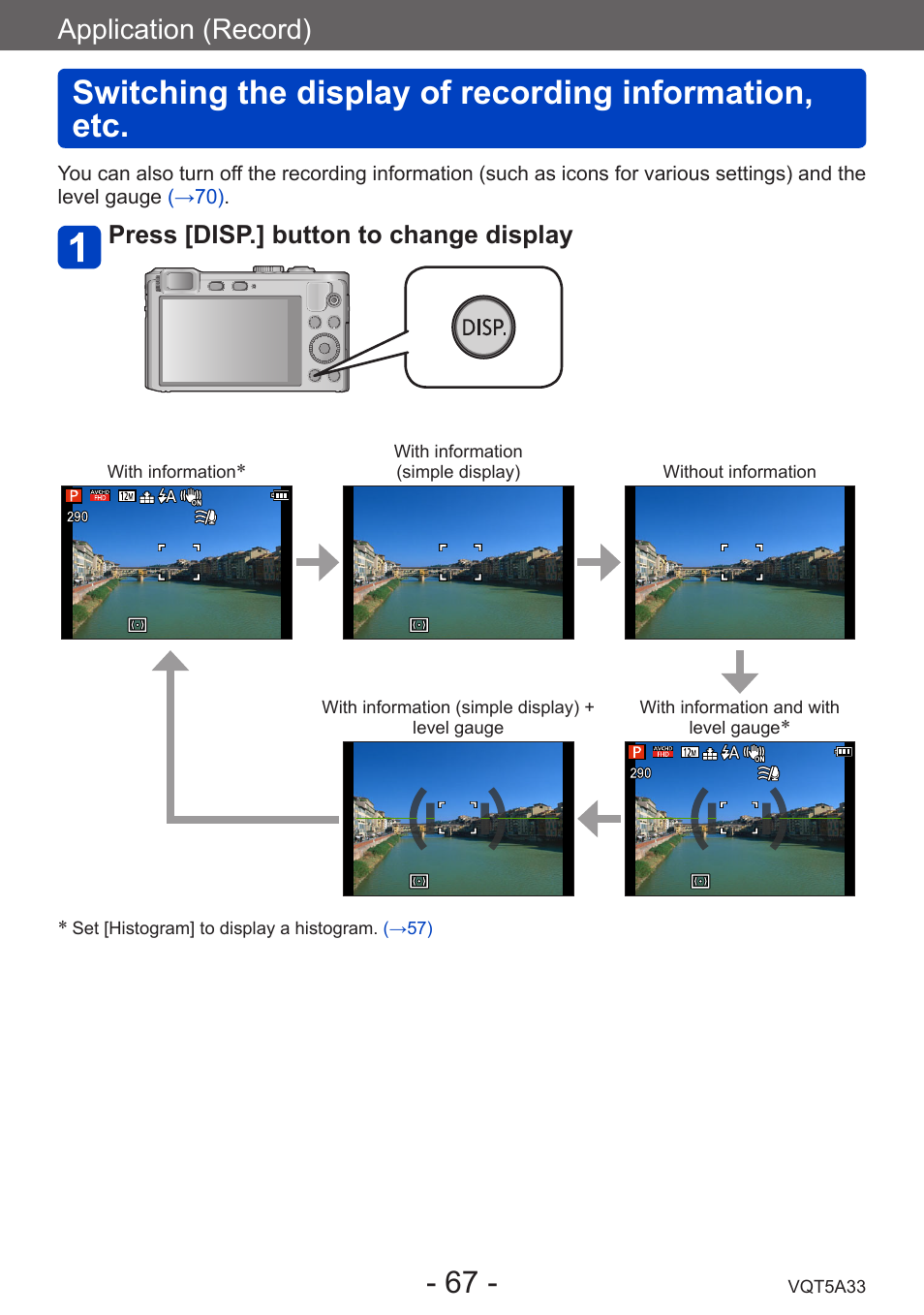 Switching the display of recording, Information, etc, Application (record) | Press [disp.] button to change display | Panasonic DMC-LF1W User Manual | Page 67 / 285