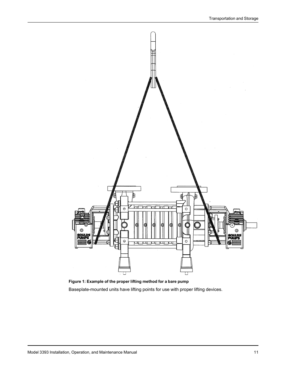 Goulds Pumps 3393 - IOM User Manual | Page 13 / 124