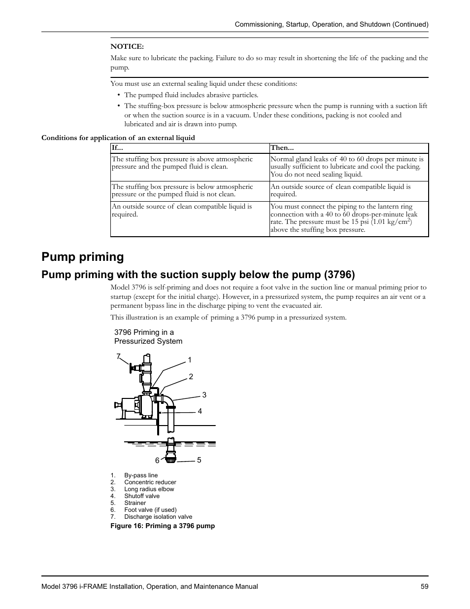 Pump priming | Goulds Pumps 3796 i-FRAME - IOM User Manual | Page 61 / 134