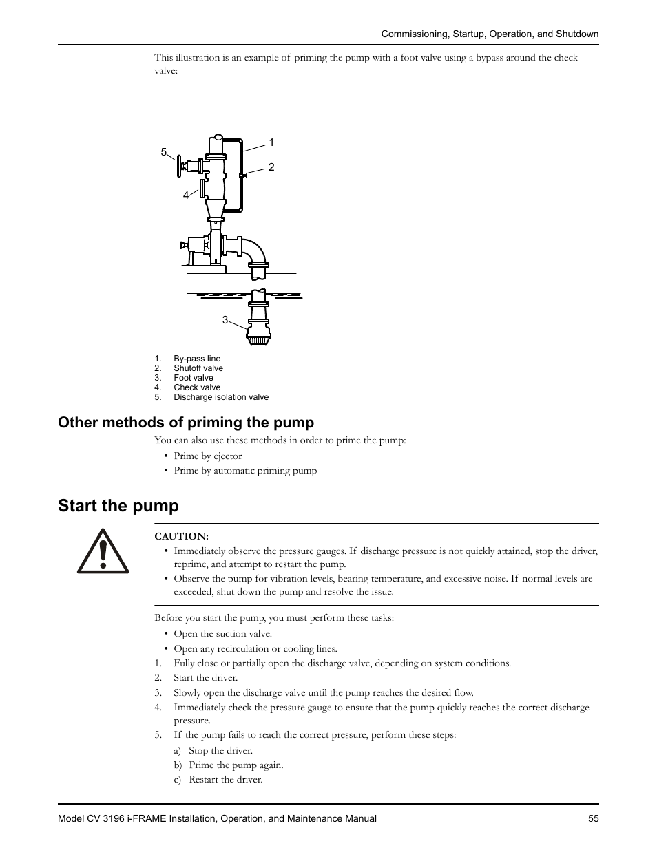 Other methods of priming the pump, Start the pump | Goulds Pumps CV 3196 i-FRAME - IOM User Manual | Page 57 / 152