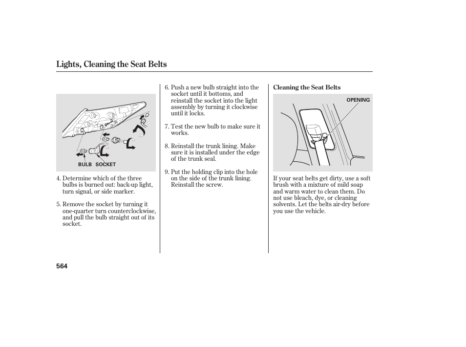 Lights, cleaning the seat belts | Acura 2009 Accord Sedan User Manual | Page 570 / 650