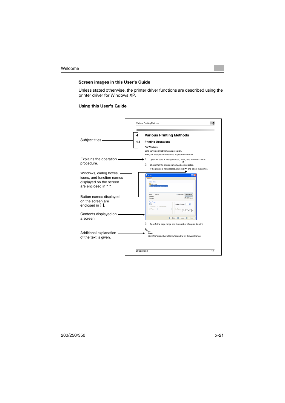 Screen images in this user’s guide, Using this user’s guide | Konica Minolta bizhub 200 User Manual | Page 22 / 382