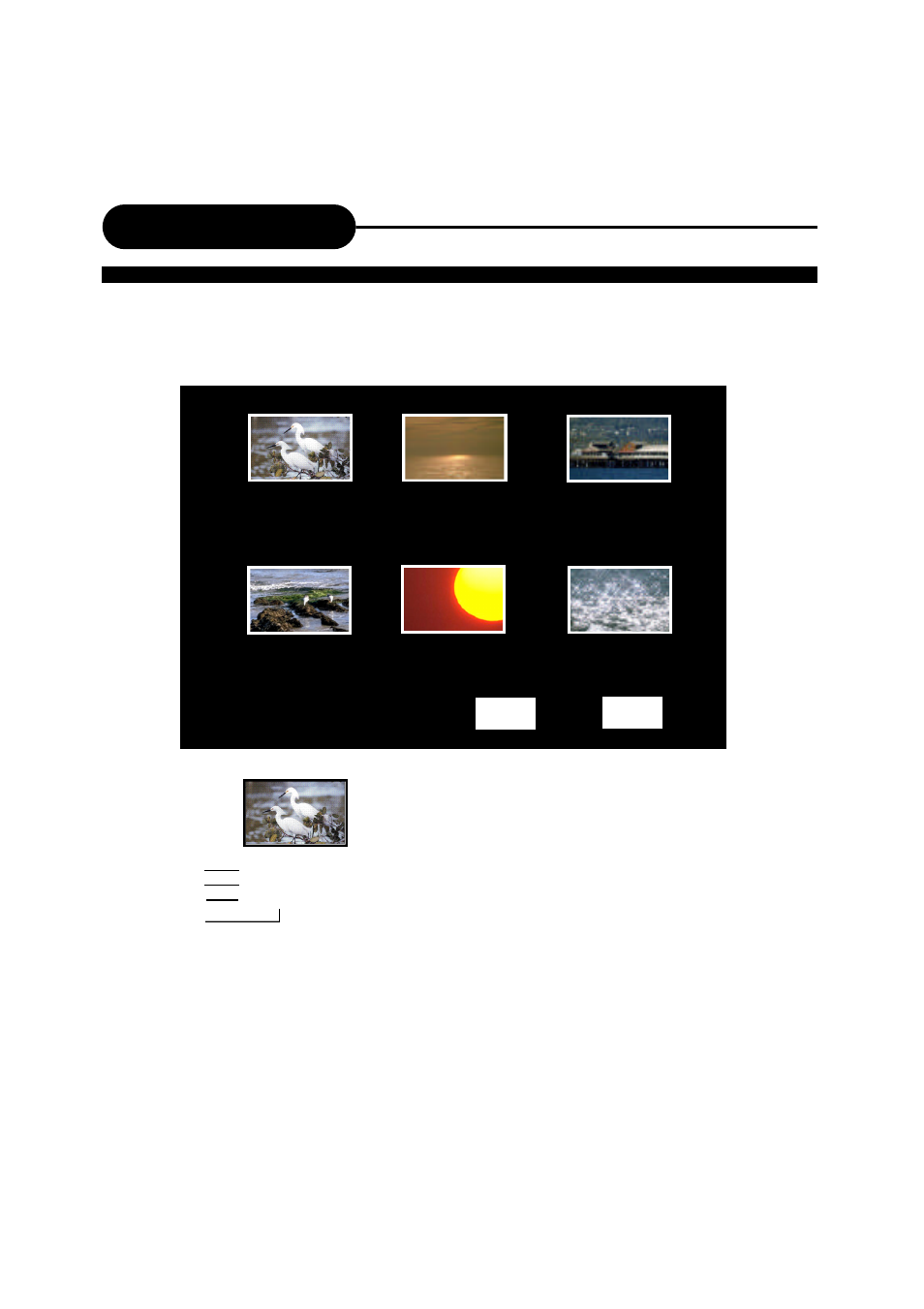 Playing back a disc | Apex Digital DRX-9000 User Manual | Page 15 / 41