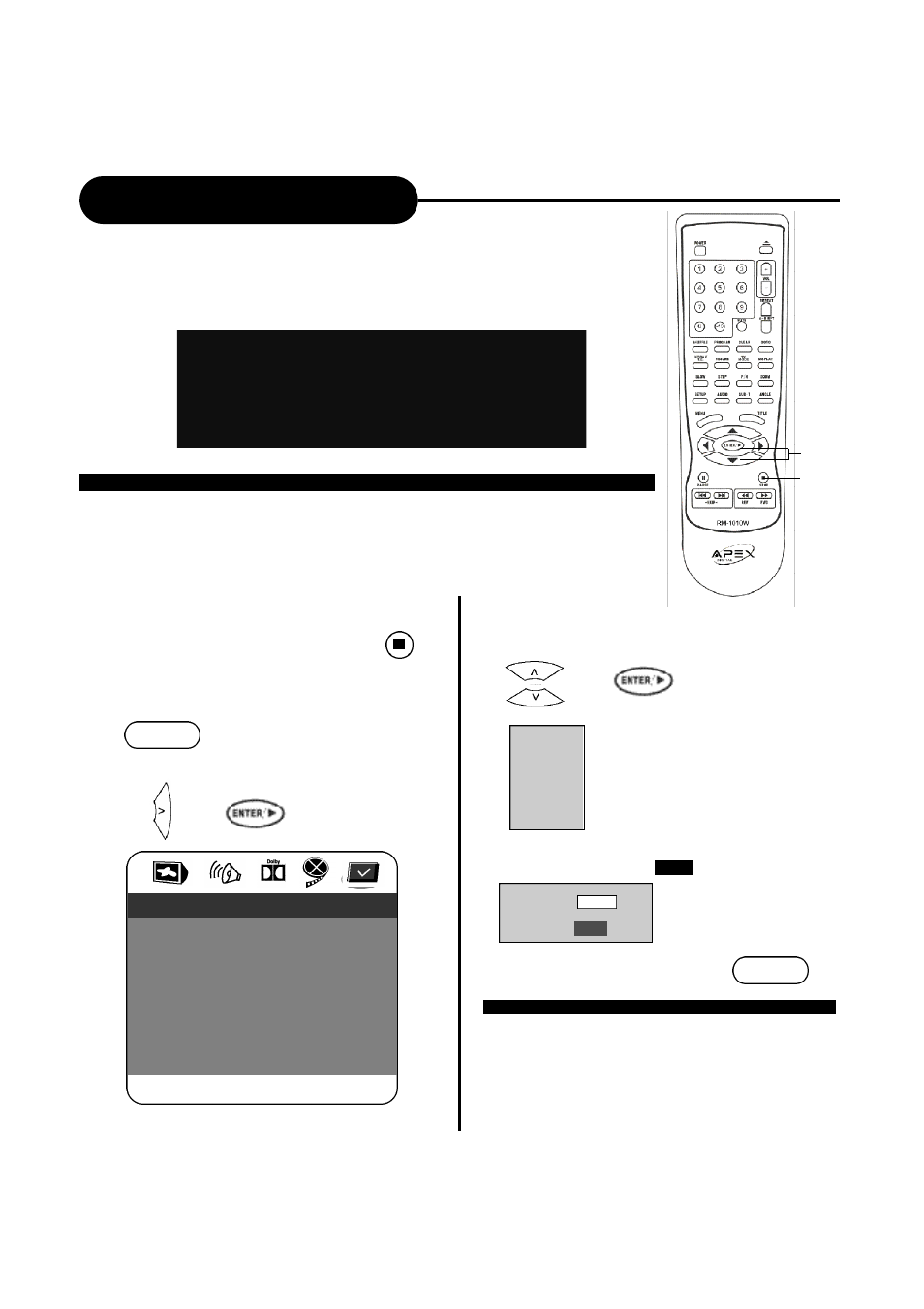 Setting the parental lock | Apex Digital AD-1110W User Manual | Page 31 / 38