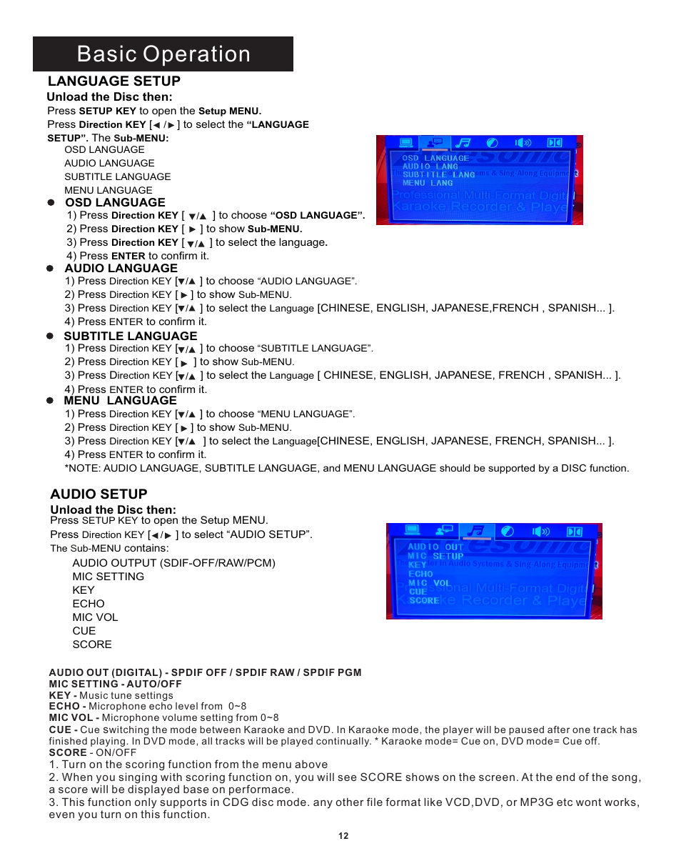 Basic operation, Language setup, Audio setup | Acesonic DGX-212 User Manual | Page 13 / 23
