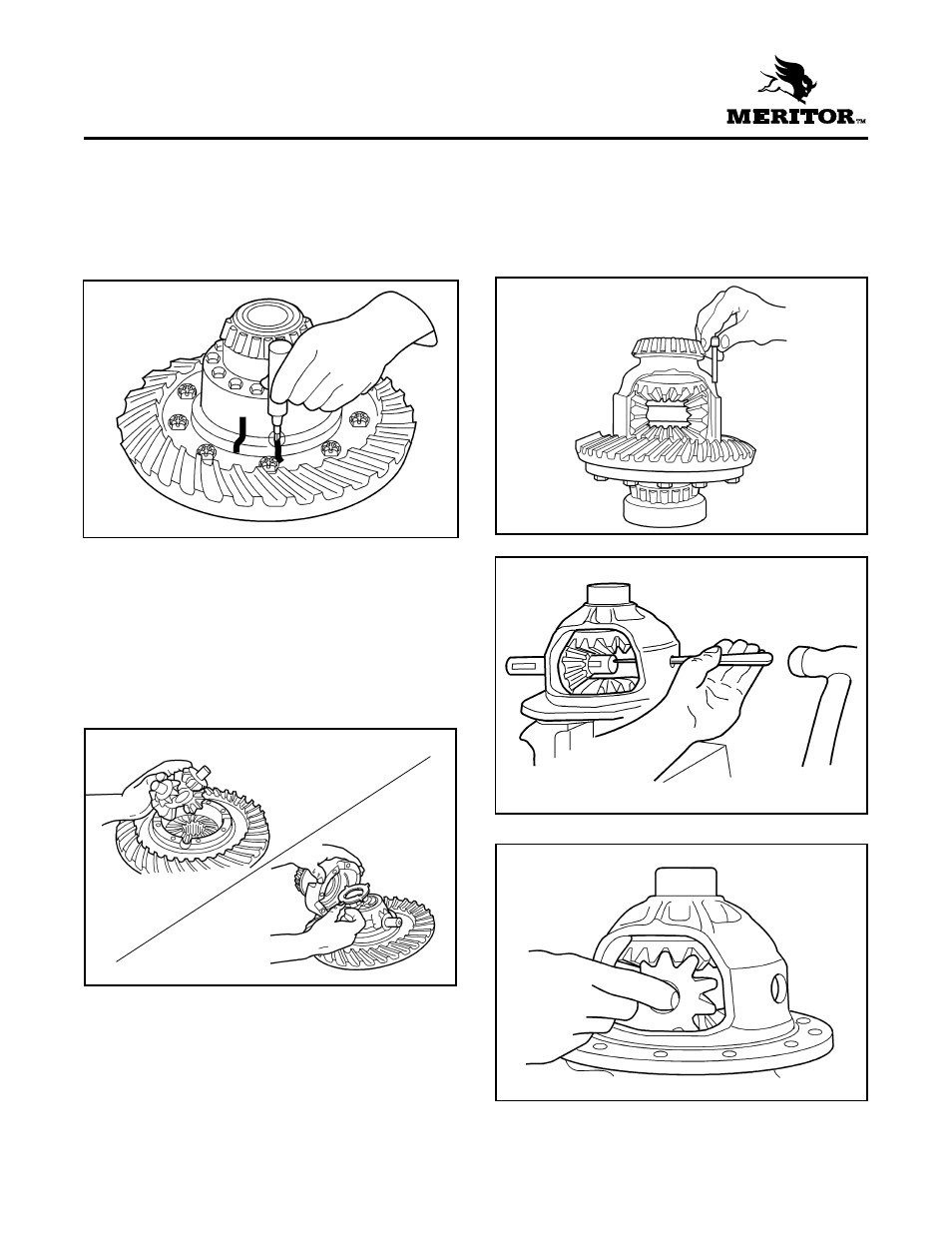 Disassemble differential case | Gradall 544D (9136-4003) Service Manual User Manual | Page 152 / 392