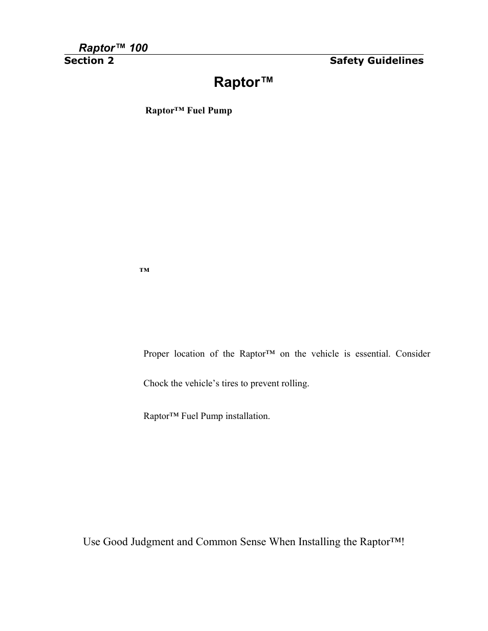 Raptor, Safety guidelines | PureFlow AirDog RP-150 - Dodge Cummins 1998.5-2002 User Manual | Page 6 / 19