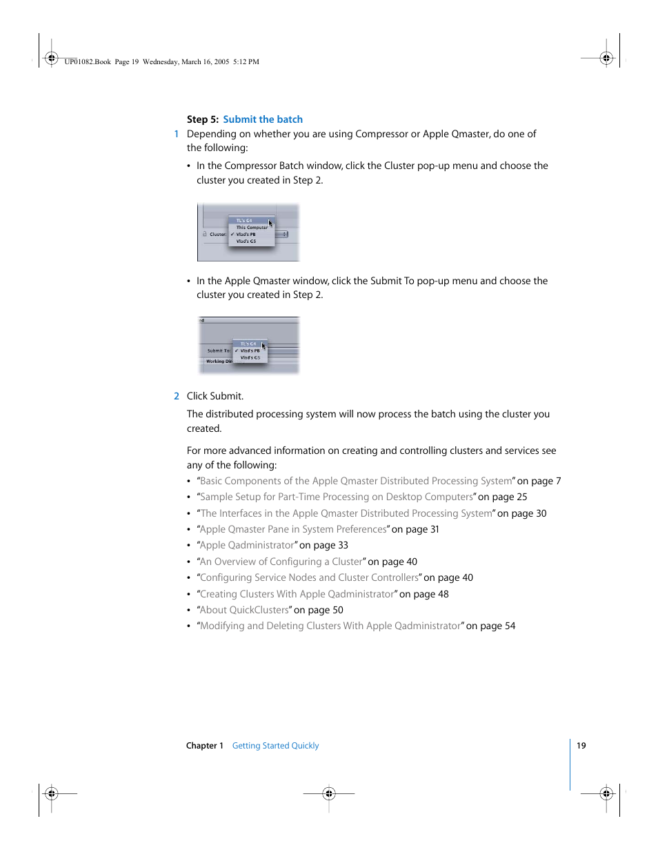 Apple Qmaster 2  and Compressor 2 (Distributed Processing Setup) User Manual | Page 19 / 74